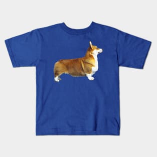 Corgi - Pembroke Welsh Corgi Stand Kids T-Shirt